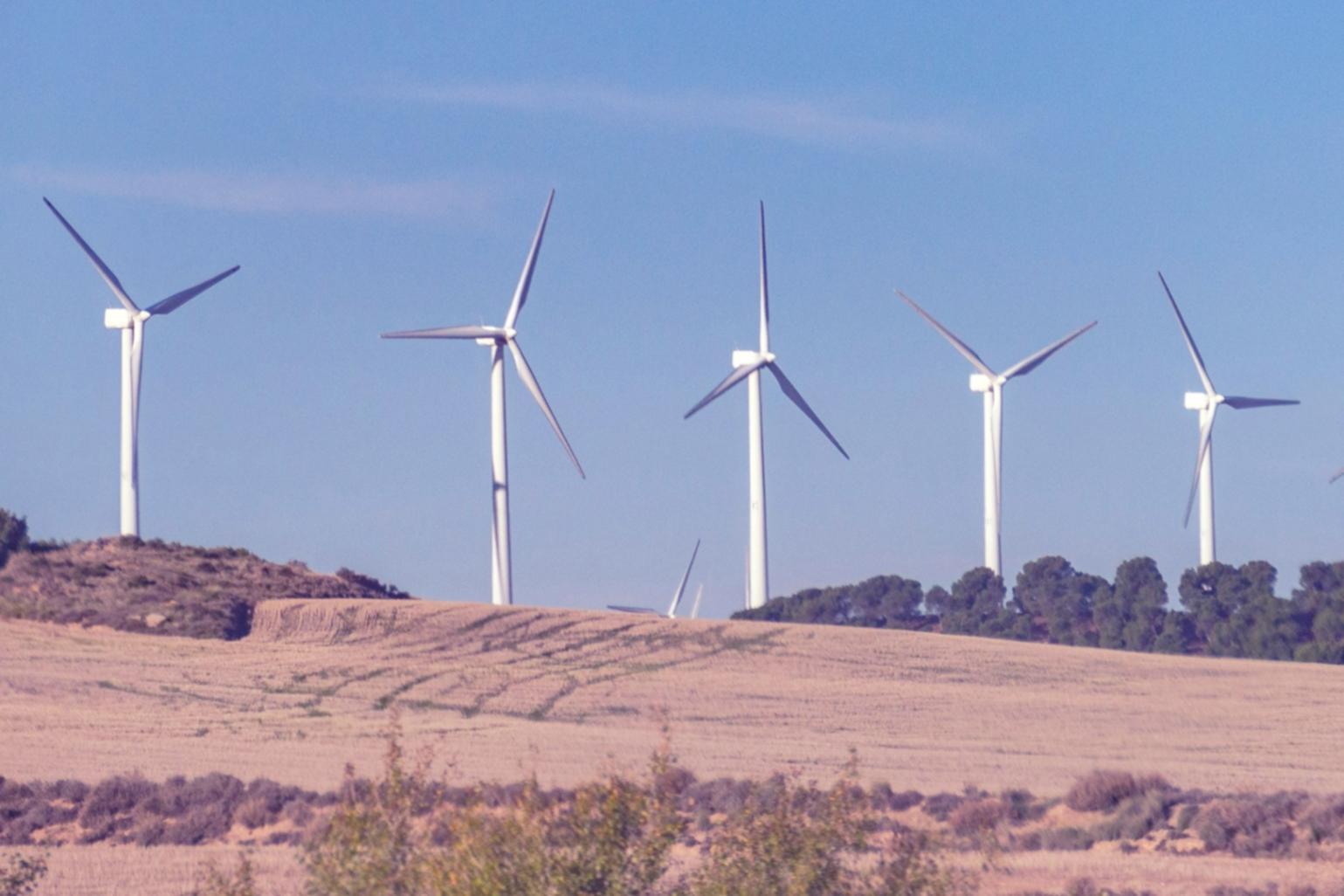 Kariyer planlama çalışması yapan profesyonel