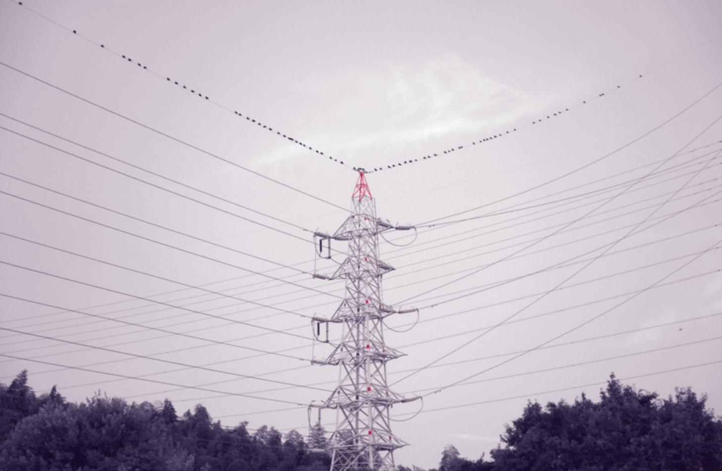 Jeotermal saha çalışması sırasında ekipman inceleyen öğrenciler